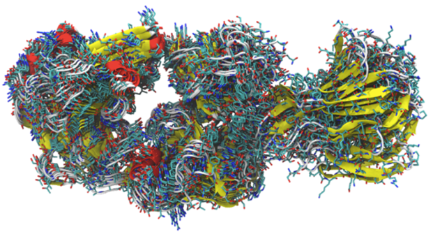 Protein Structure